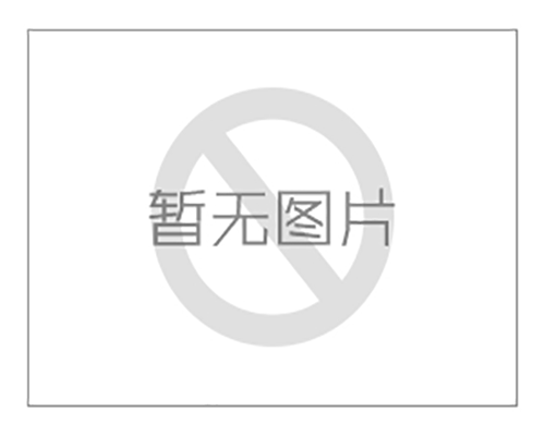 中國絕熱節能材料協會一體板分會王林秘書長一行蒞臨迪峰機械參觀指導！